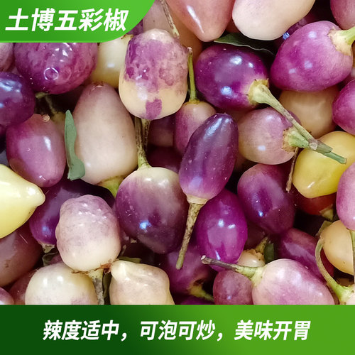 新鲜土博五彩椒辣椒泡椒五彩椒