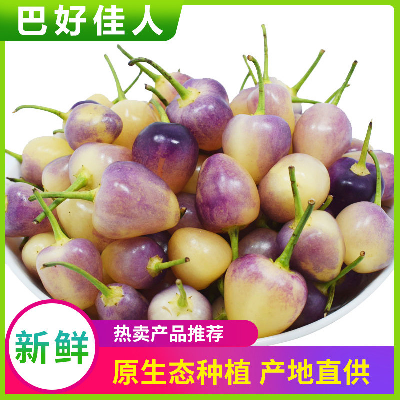 广西新鲜五彩椒土博五彩椒皮薄肉厚当天现摘发货耐泡腌制成品脆口