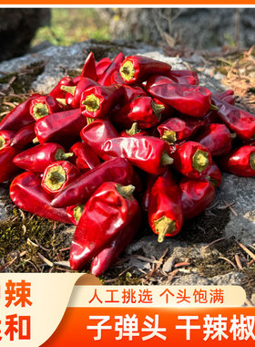 四川干辣椒贵州子弹头中辣特香辣椒特产朝天椒干红辣椒500克本地