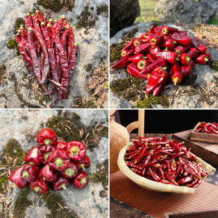 贵州四川二荆条灯满天星小米辣微特辣超香炒菜干辣椒混合共250克