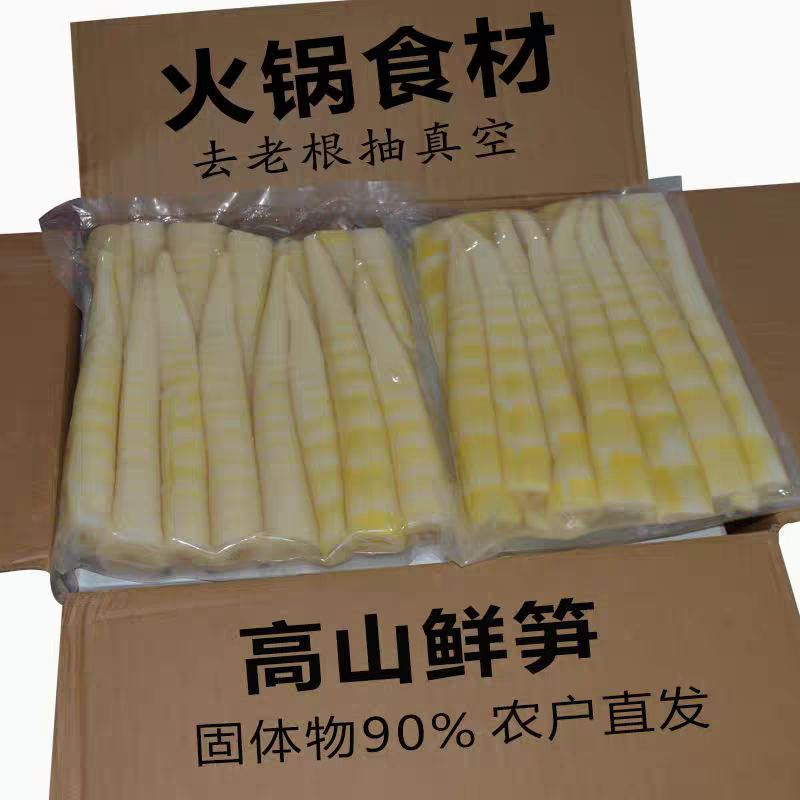 四川竹笋新鲜嫩野生罗汉笋尖原味现挖去壳竹笋袋装火锅餐饮商用