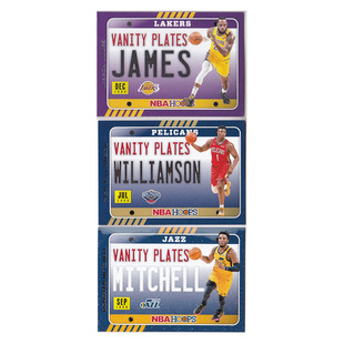 球星卡 勒布朗詹姆斯 锡安威廉森 米切尔特卡帕尼尼20-21hoops