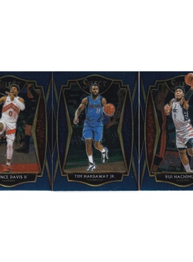 球星卡 戴维斯 小哈达威 八村 蓝二级帕尼尼20-21selectr