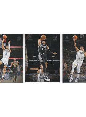 球星卡 迪昂 钱德勒 阿巴吉 新秀帕尼尼22-23luminance