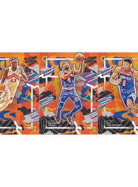 NBA球星卡 西亚卡姆 德里克罗斯 八村 帕尼尼20-21油画