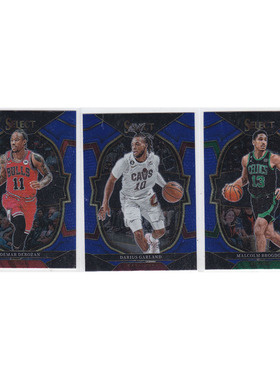 球星卡 德罗赞 加兰 布罗格登 蓝平行帕尼尼22-23select