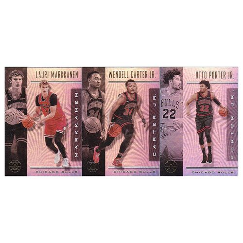 NBA球星卡 卡尔马宁 卡特 奥特波特 帕尼尼19-20illusions