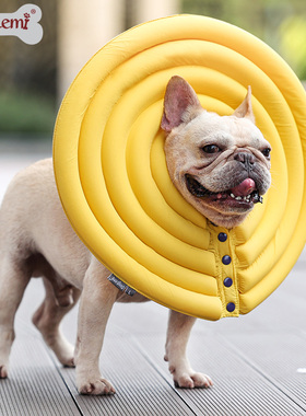 伊丽莎白圈狗狗防舔脖圈猫项圈大型犬金毛防咬圈头罩头套宠物用品