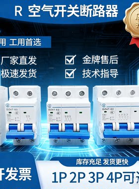 【正品】空气开关小型断路器DZ47-63A空开家用保护器1P2P3P4P正品