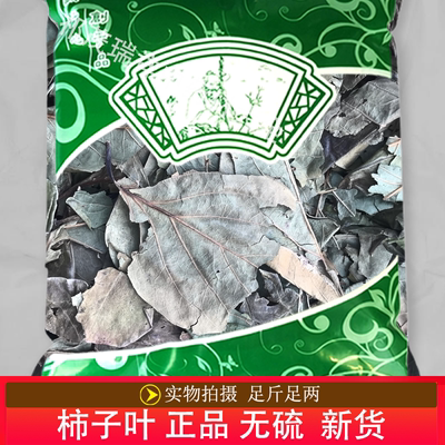 安国中药材市场批 发无硫新货柿叶1000克 正品 柿子叶 柿叶茶