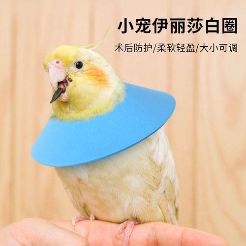 新款小宠伊丽莎白圈仓鼠兔子绝育防舔防咬防抓圈EVA防护罩防水圈