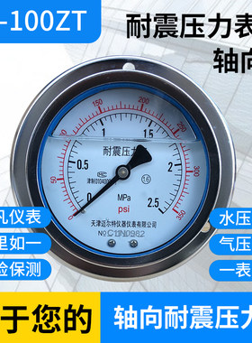 耐震压力表yn100zt轴向带边