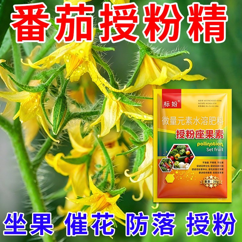 番茄授粉座果精无需粘花催花坐果灵茄瓜授粉露保花保果专用剂