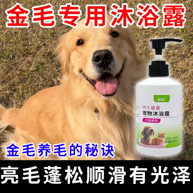 金毛专用沐浴露亮白去黄狗狗白毛犬沐浴液宠物狗清洁用品香波