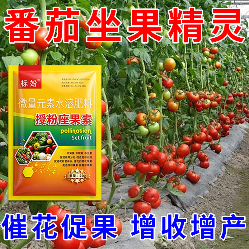 番茄授粉座果精无需粘花催花坐果灵茄瓜授粉露保花保果专用剂