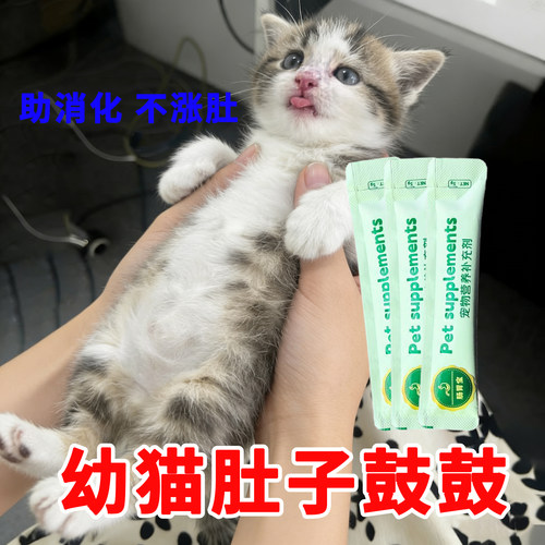 助消化调理肠胃小猫肚子大幼猫肚子鼓鼓的补充营养开胃消食
