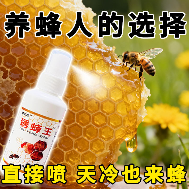 诱蜂水蜂蜡诱蜂用野外用诱蜂水 中蜂养蜂招蜂水 蜜蜂引诱蜂王