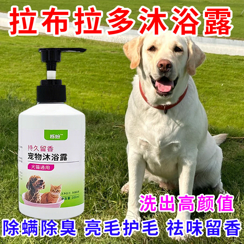 拉布拉多专用沐浴露亮白去黄狗狗白毛犬沐浴液宠物狗清洁用品香波
