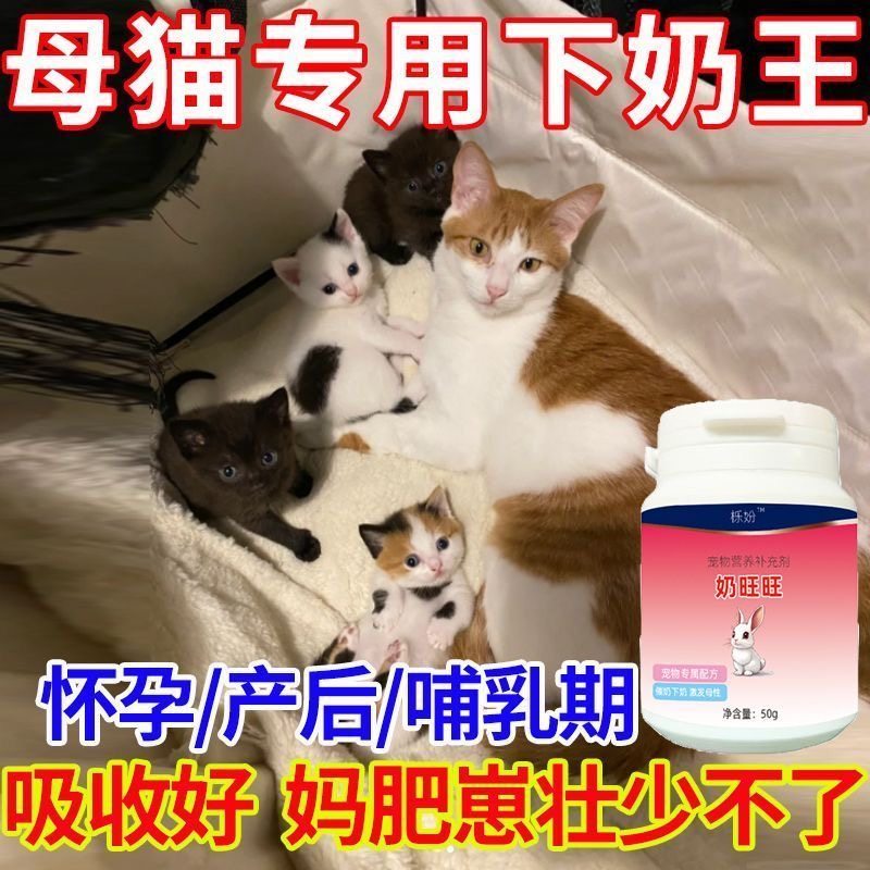 猫营养膏母猫产后虚弱幼崽健康护理奶水少体弱无力的恢复营养