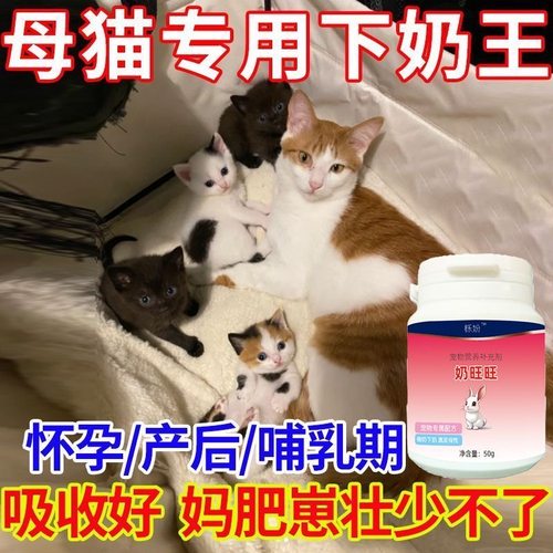 猫营养膏母猫产后虚弱幼崽健康护理奶水少体弱无力的恢复营养