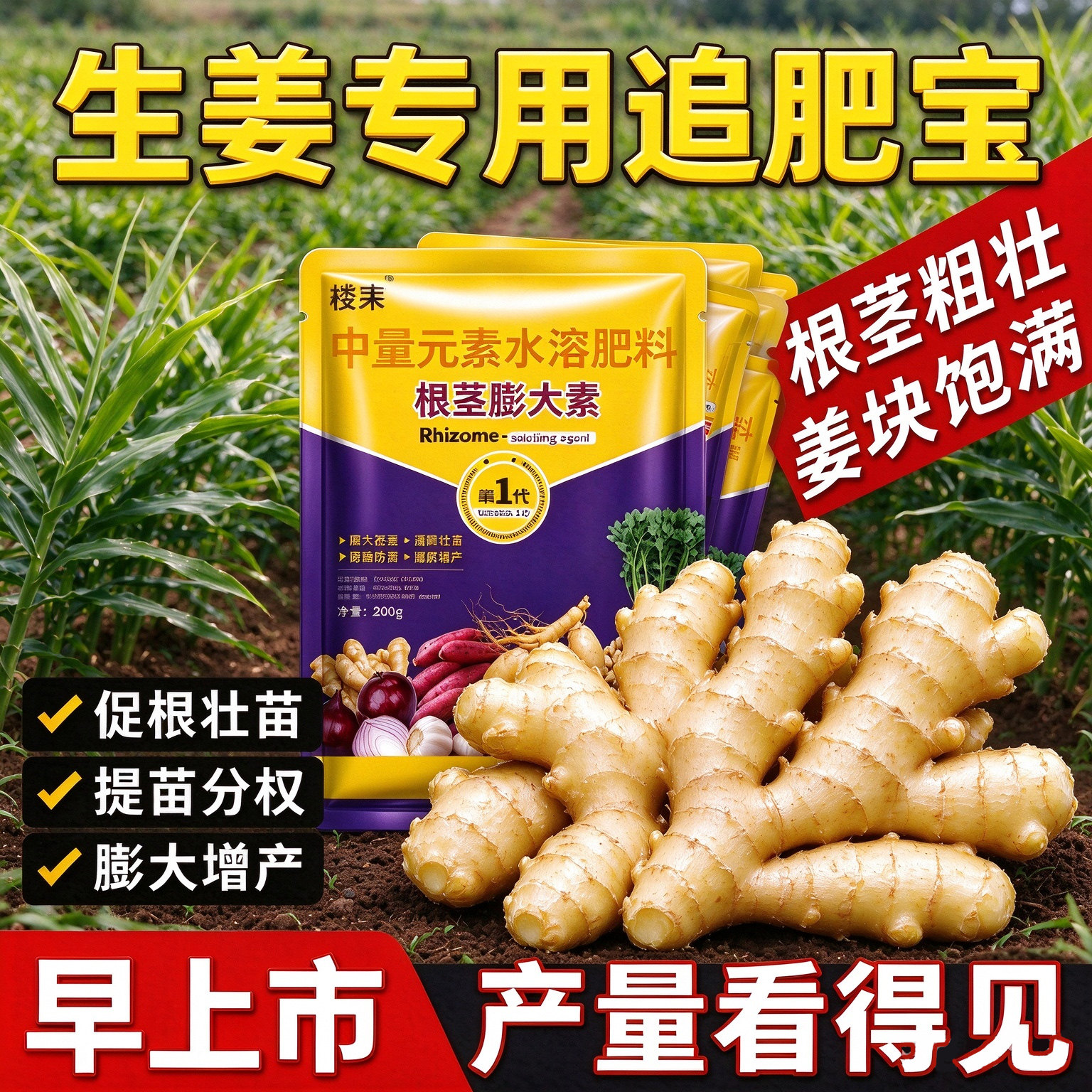 正品生姜膨大素根茎专用底肥黄姜颗粒提高免疫改善增产增收大姜