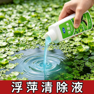 养殖不伤藕虾蟹圆心萍浮净化水质绿藻青苔水藻褐藻浮萍净