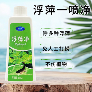 养殖不伤藕虾蟹圆心萍浮净化水质绿藻青苔水藻褐藻浮萍净