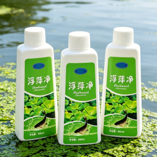 养殖不伤藕虾蟹圆心萍浮净化水质绿藻青苔水藻褐藻浮萍净