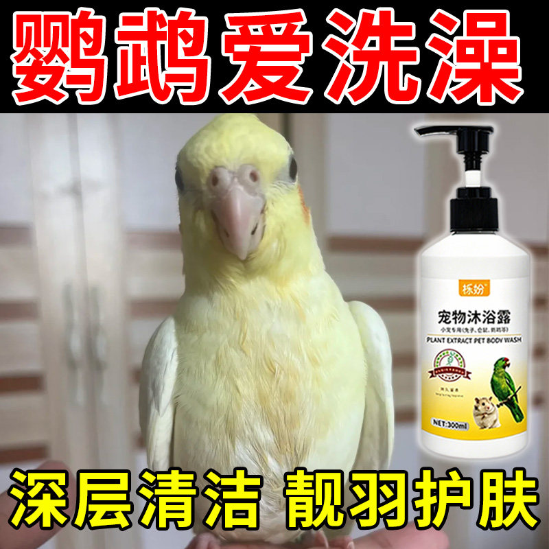 鹦鹉沐浴露除臭专用豚鼠荷兰猪沐浴露抗菌除臭除螨豚鼠洗澡用品