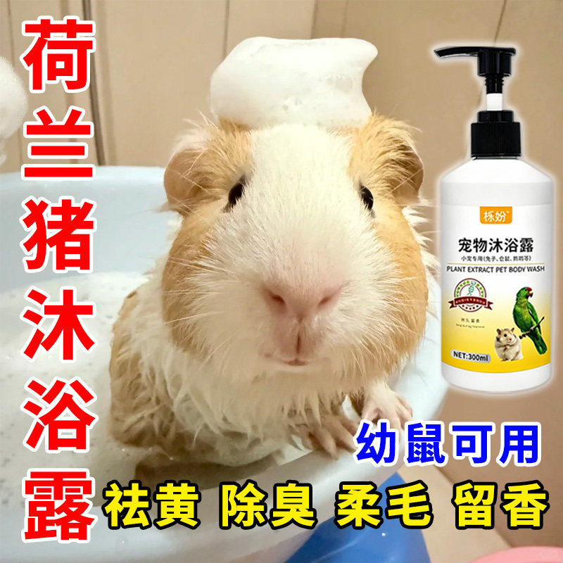荷兰猪沐浴露除臭专用豚鼠荷兰猪沐浴露抗菌除臭除螨豚鼠洗澡用品