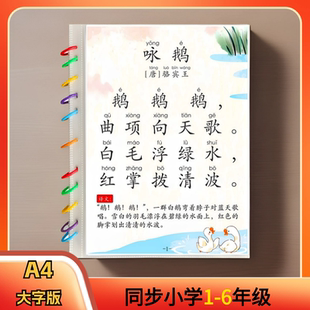儿童学前古诗词118首国学经典 幼儿园小学古诗闪卡教具 超大字版