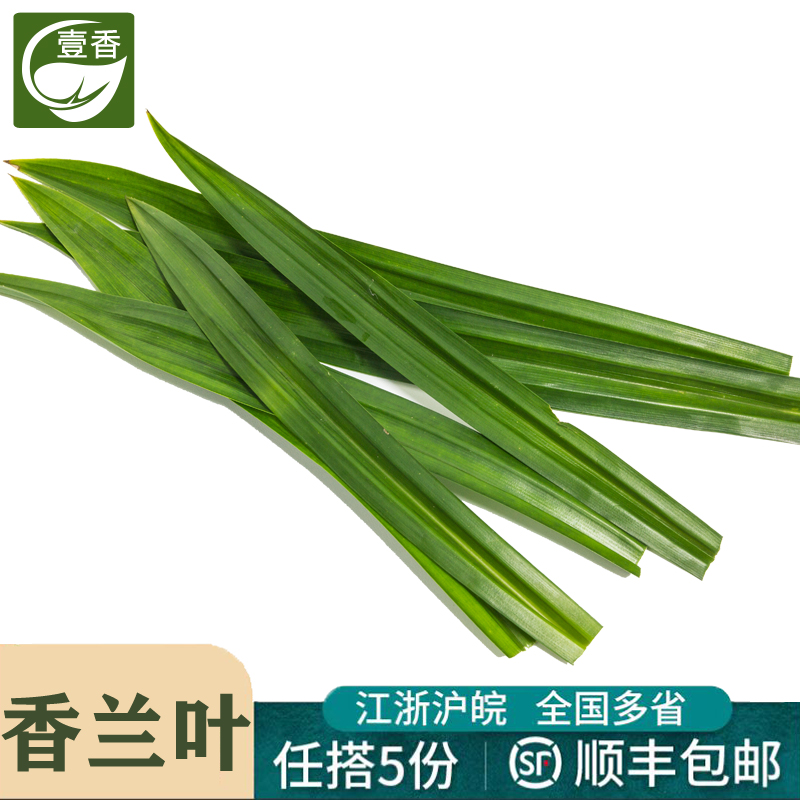 食用香兰叶斑斓叶做蛋糕奶茶原料