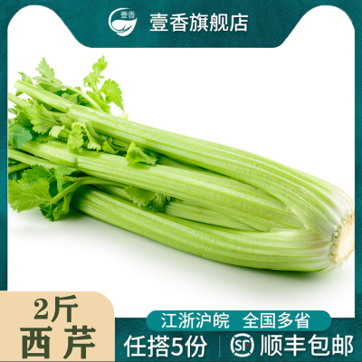 西芹轻食沙拉榨汁新鲜蔬菜