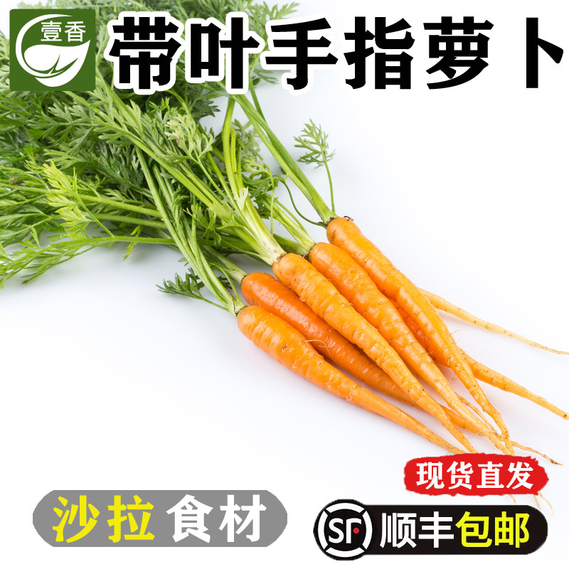 壹香 带叶手指胡萝卜 水果胡萝卜新鲜蔬菜西餐沙拉色拉食材配菜,水产肉类/新鲜蔬果/熟食,萝卜/胡萝卜,淘宝优惠券,粉丝福利购,淘宝优惠卷