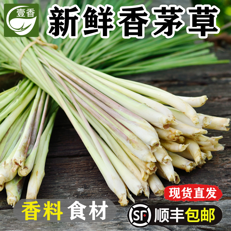 新鲜香茅草5斤柠檬草泰国料理冬阴功汤原料香料奶茶店调料蔬菜