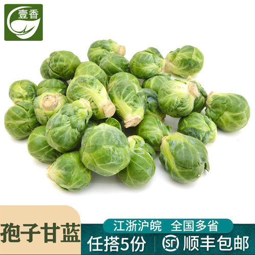 新鲜孢子甘蓝500g西餐沙拉蔬菜