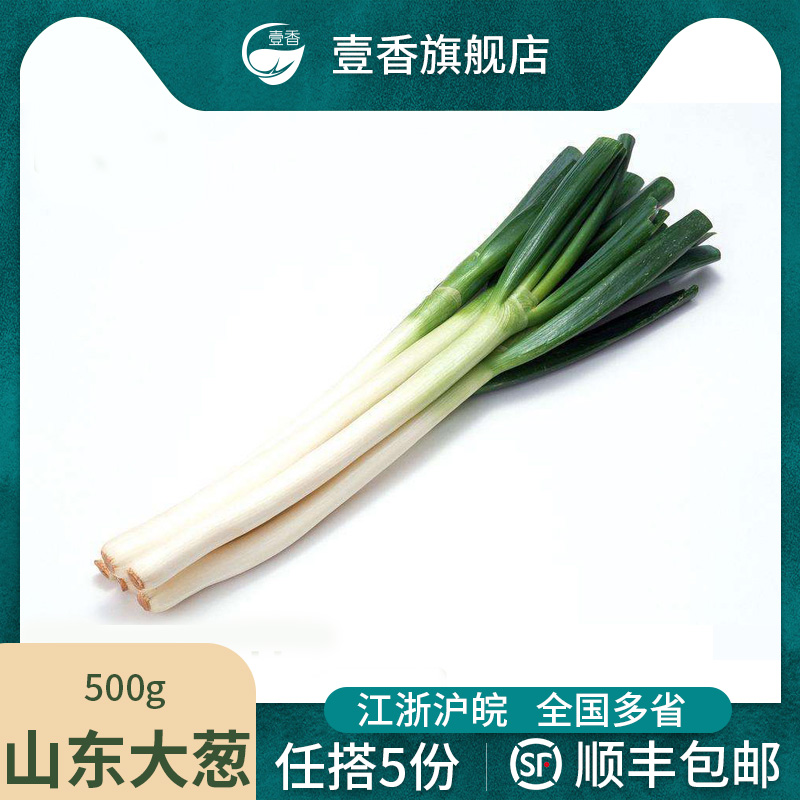 新鲜大葱500g 铁杆大葱新鲜长葱蔬菜农产品煎饼卷葱白5件顺丰包邮 水产肉类/新鲜蔬果/熟食 葱类 原图主图