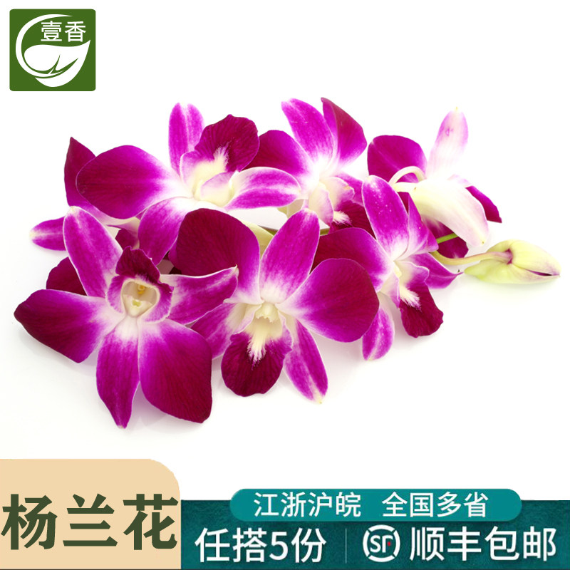 新鲜洋兰花250g 杨兰花马兰花 西餐火锅酒店摆盘装饰点缀花草鲜花