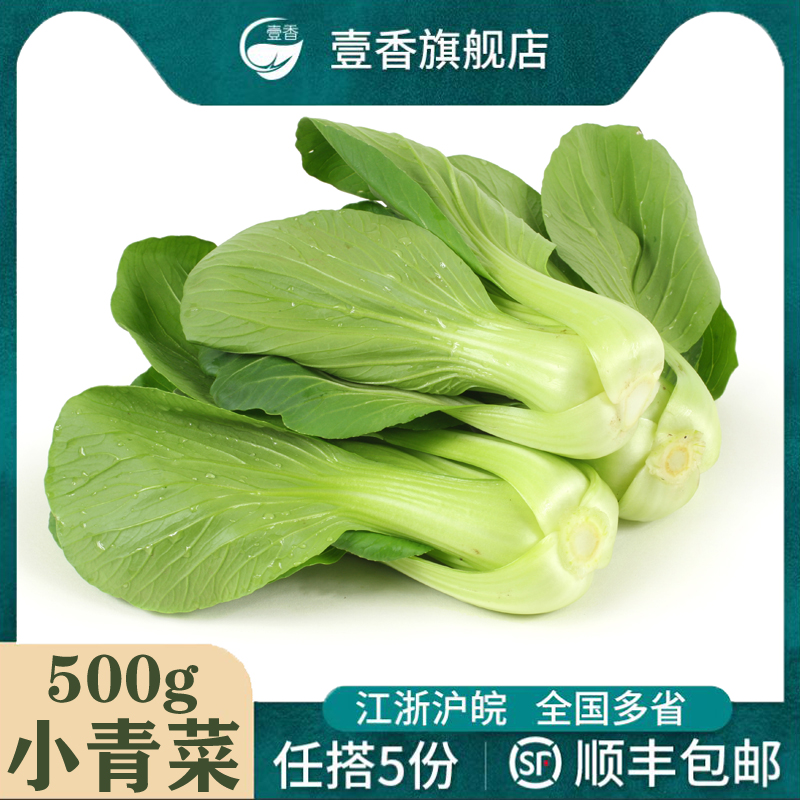 新鲜小青菜500g现摘当季上海青菜农家四季青青菜小油菜绿叶菜蔬菜