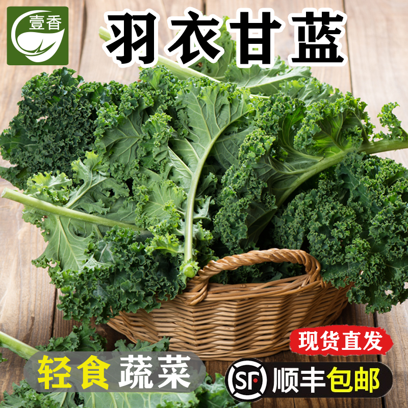 新鲜羽衣甘蓝嫩叶蔬菜沙拉食材嫩叶甘兰kale西餐健身榨汁蔬菜配菜,水产肉类/新鲜蔬果/熟食,叶菜类,淘宝优惠券,粉丝福利购,淘宝优惠卷