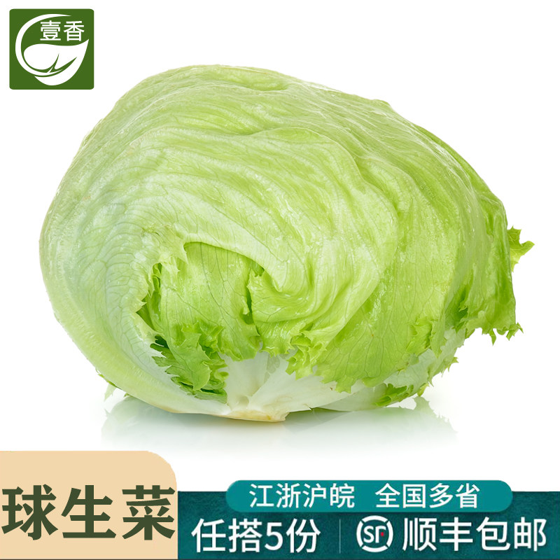 新鲜球生菜沙拉汉堡用轻食蔬菜
