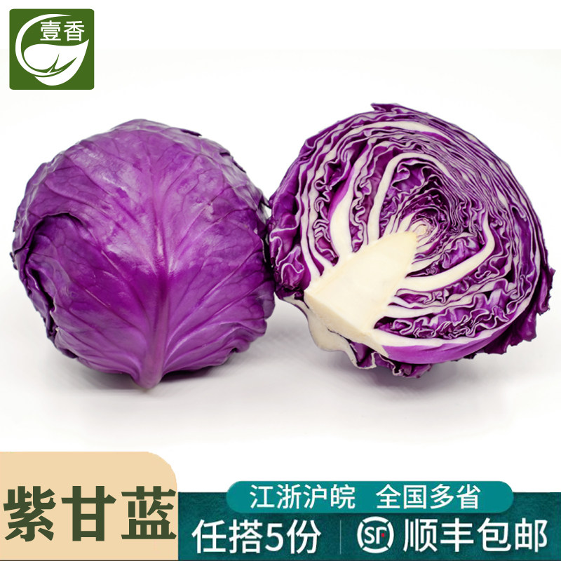 壹香 紫甘蓝650g 新鲜紫包菜紫色球生菜红椰菜西餐蔬菜沙拉食材