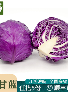 壹香 紫甘蓝650g 新鲜紫包菜紫色球生菜红椰菜西餐蔬菜沙拉食材