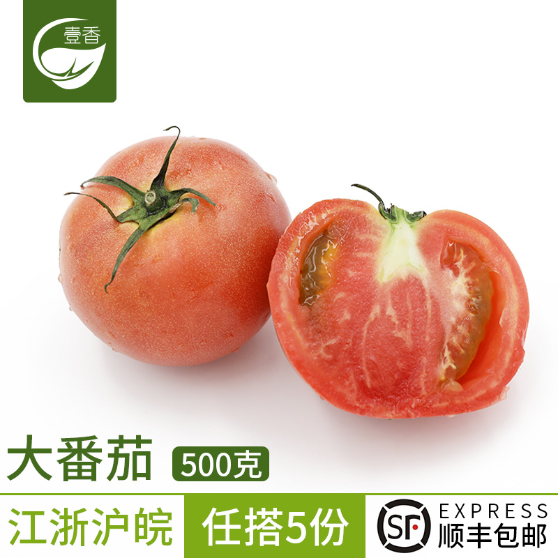 Ò¼Ïã ´óÎ÷ºìÊÁ500g ´ó·¬ÇÑÅ©¼Ò×ÔÖÖÐÂÏÊÊß²Ë×ÔÈ»Êì5¼þ˳·á°üÓÊ