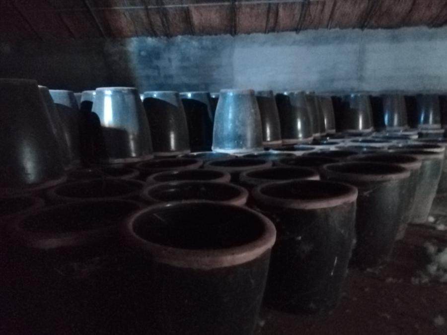 1月28日潍坊酒缸一宗网络拍卖公告