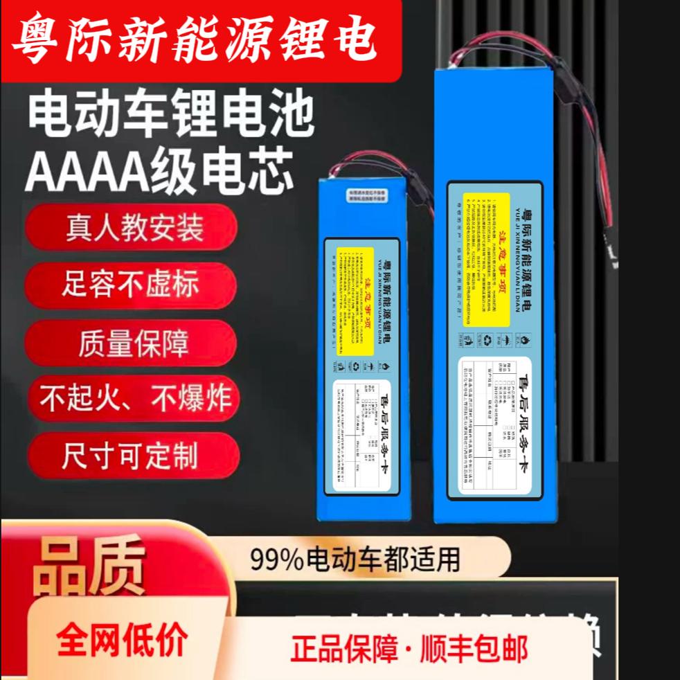 电动车锂电池36V48V20ah 希洛普 阿尔郎小海豚24V10ah