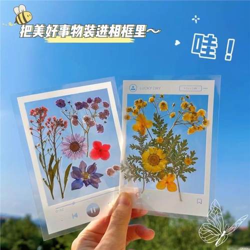 银杏枫叶干花书签手工自制透明