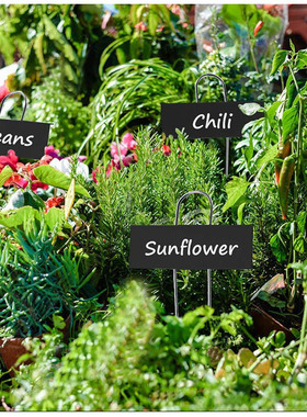 金属植物小插牌标签牌花园园艺花盆栽装饰植物标牌记号牌插地牌