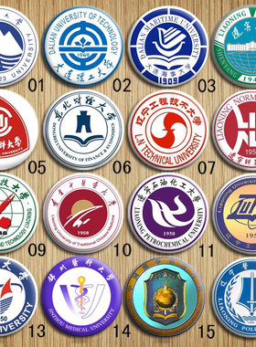 辽宁本科高校东北大学徽章胸针