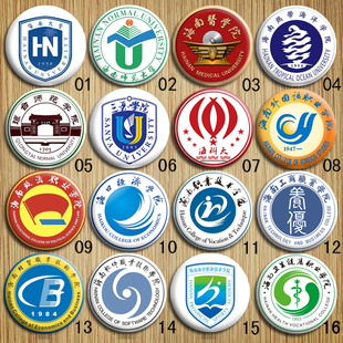 海南琼台三亚师范理工商软件经贸科技城市职业技术大学院校徽胸针